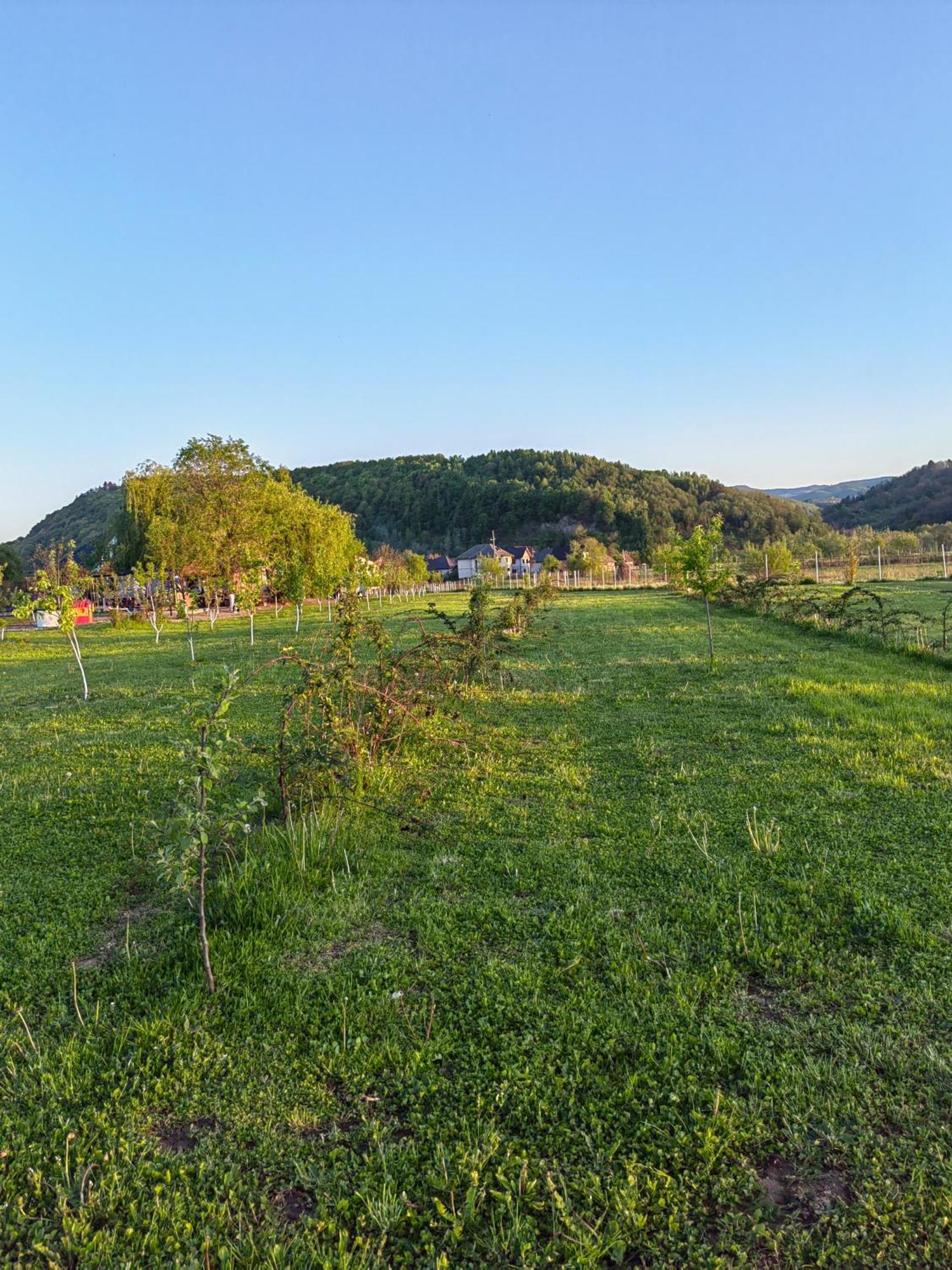 Casa Boila Hotell Bîrsana Exteriör bild